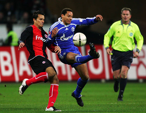 日本的许多 日本的许多